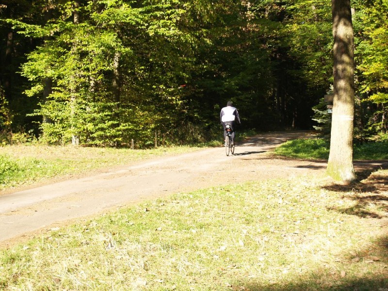 Report: Slivovica najlepší jonťák alebo 12h ultra MTB na Morave - bikepoint.sk