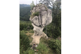 Stratený budzogáň